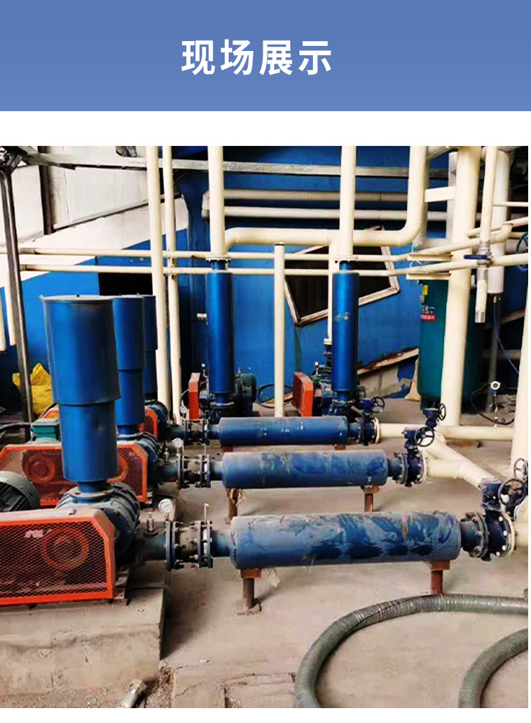 解鎖羅茨風(fēng)機的二十種用途